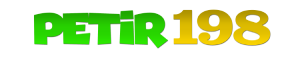 petir198